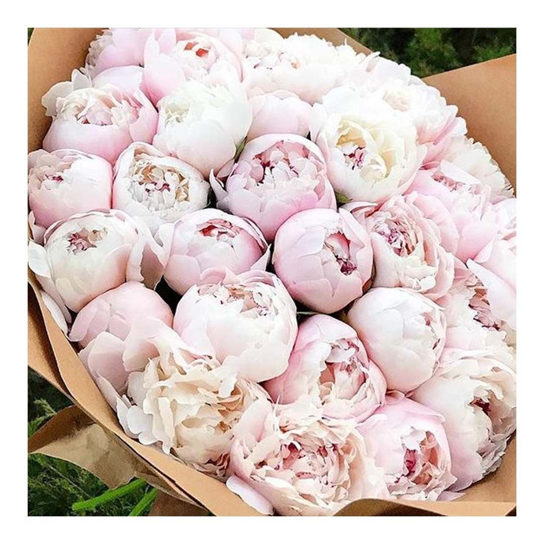 Поле цветов