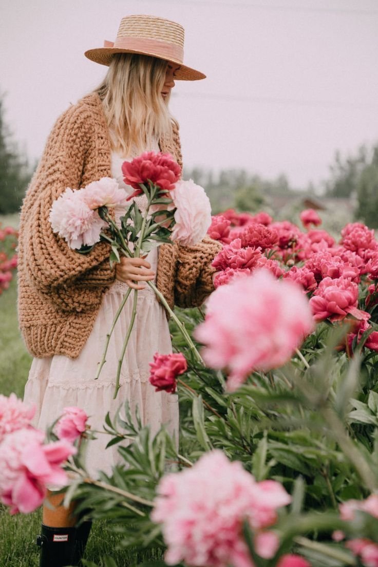 Пионовые плантации