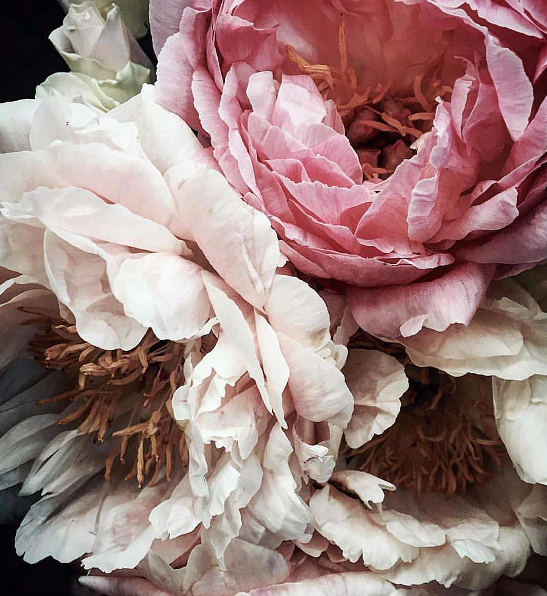 Девушка с пионом