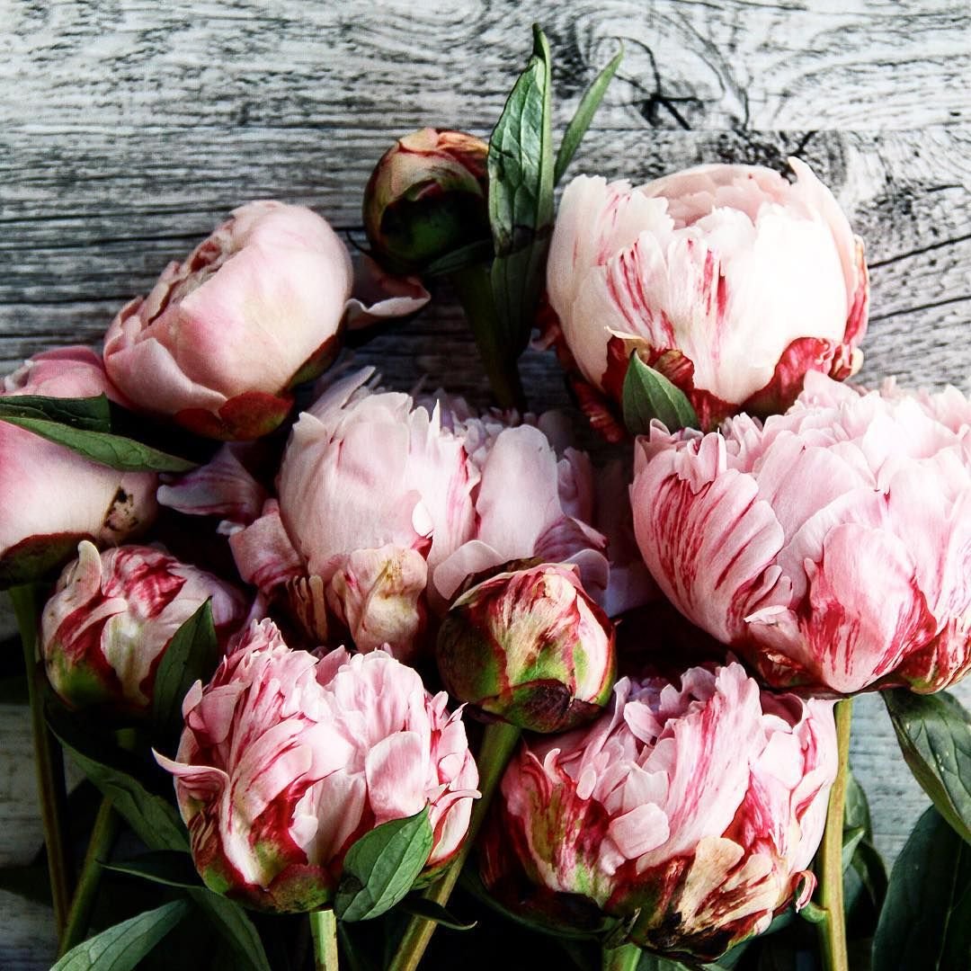 Цветущие поля