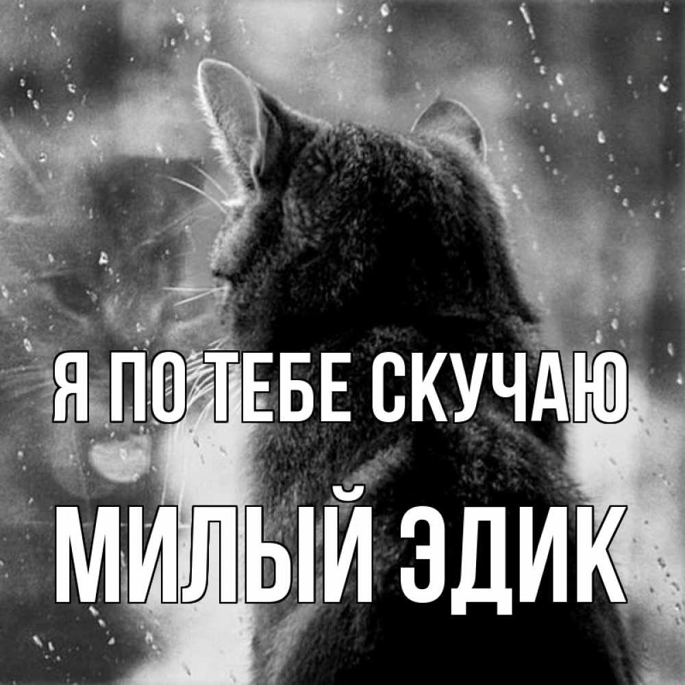 Скучаю по тебе