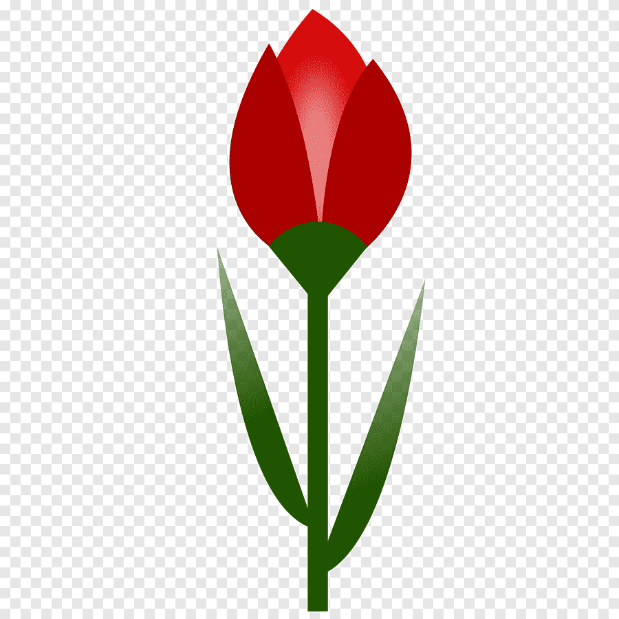 Тюльпан лого