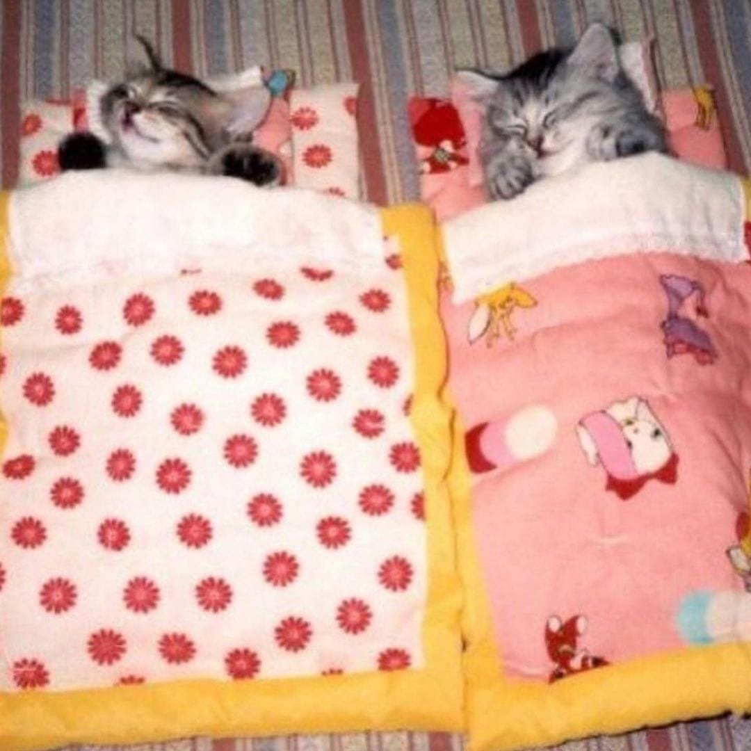 Стихи спят усталые игрушки