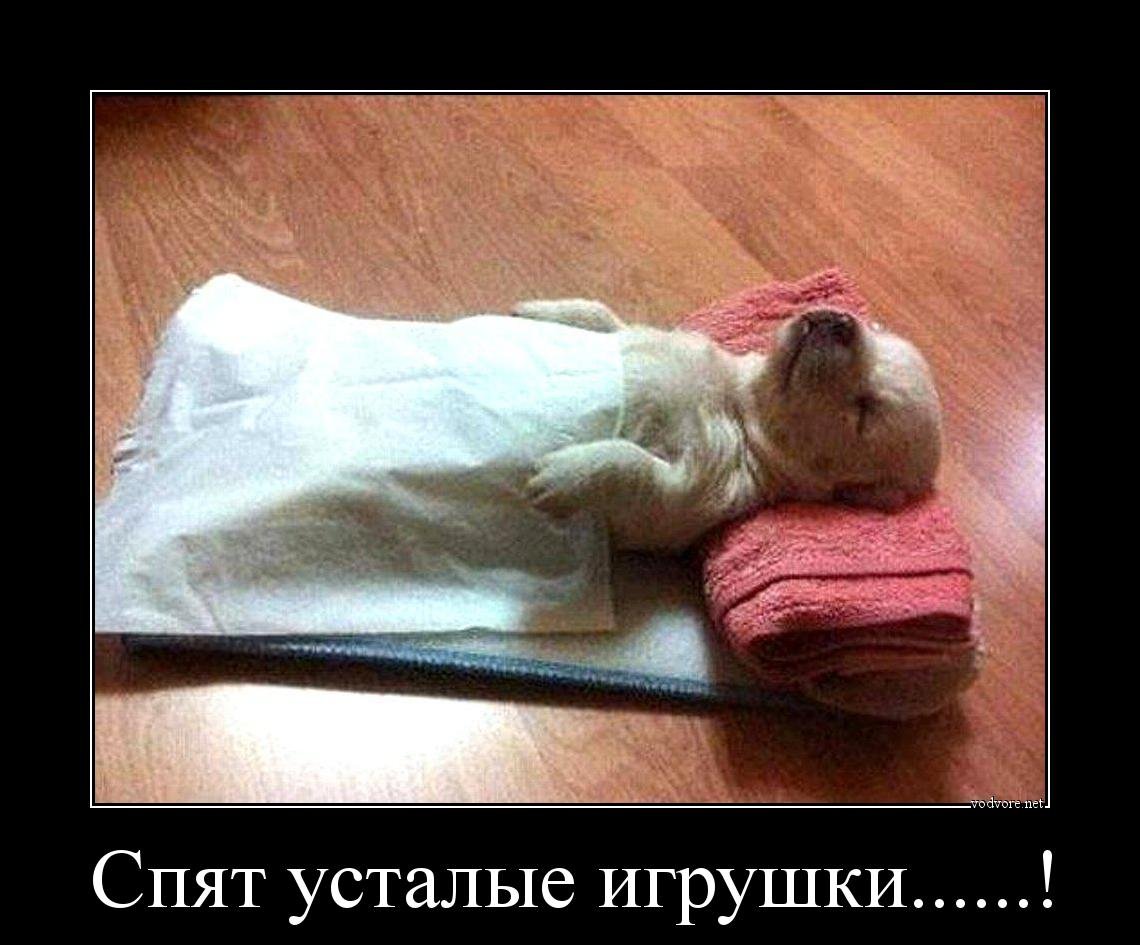 Волшебных снов