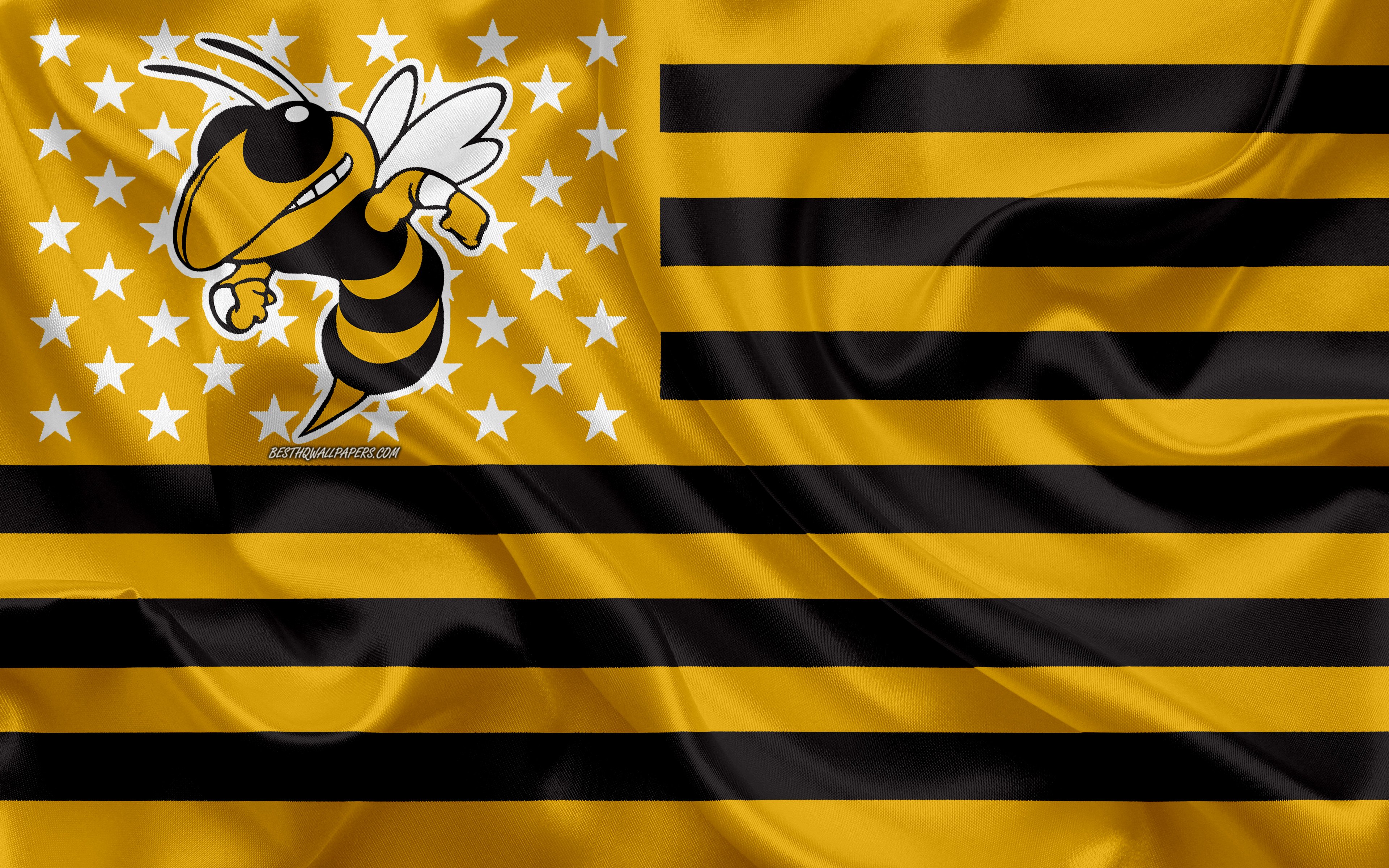 Лета желтая с черным. Футбольный клуб черно желтый. Черно желтые рисунки. Желто-черный американский флаг. Желто черный флаг гольф.