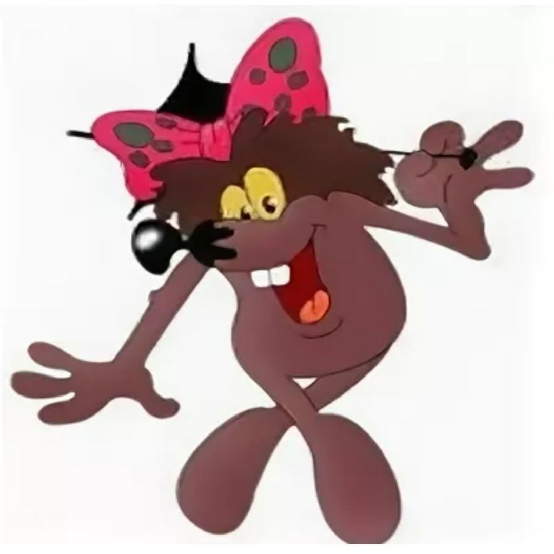 Дюдюка Барбидокская Дюдюка Барбидокская