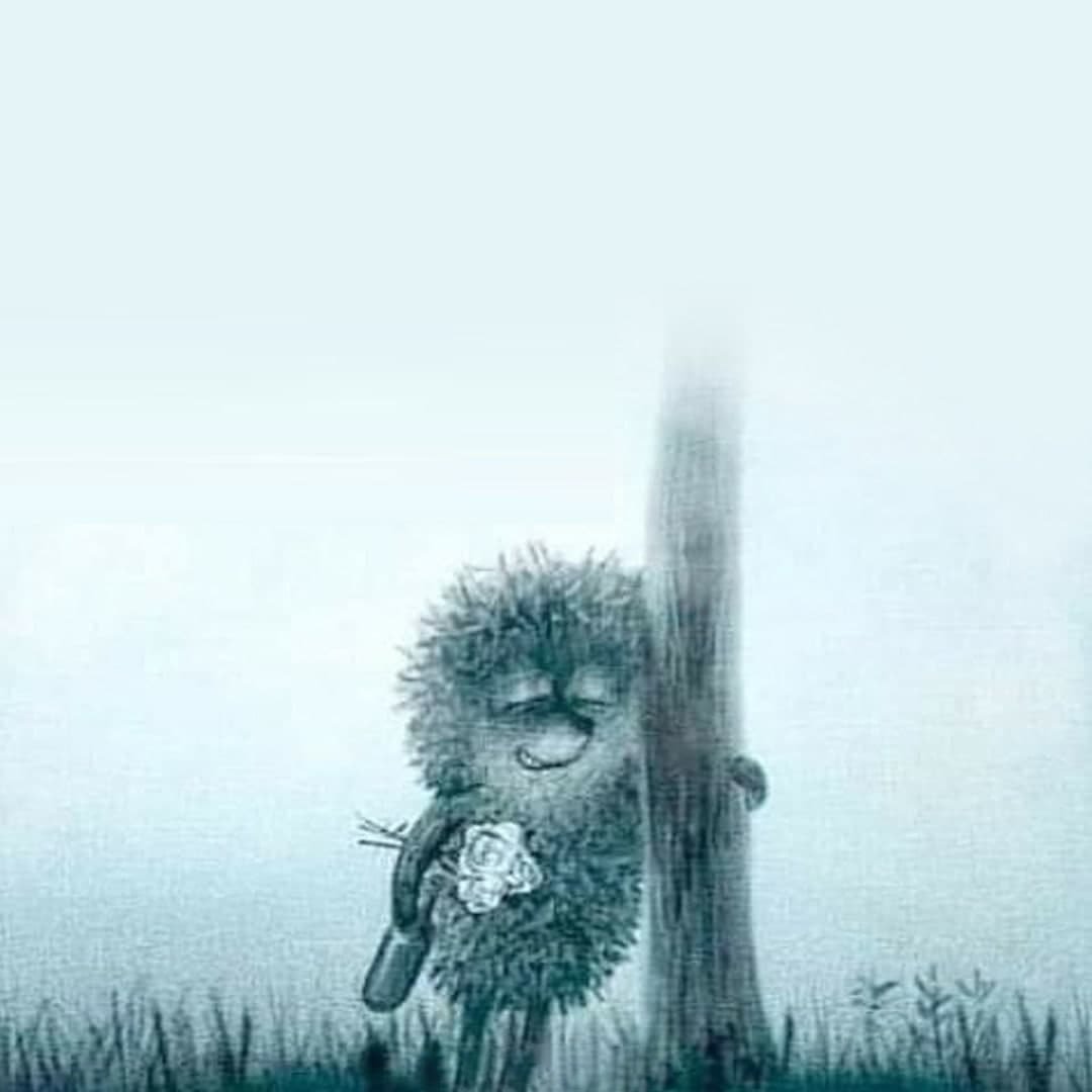 Ёжик в тумане прикольные