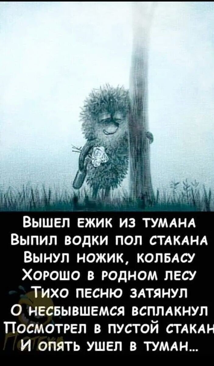 Вышел Ёжик из тумана