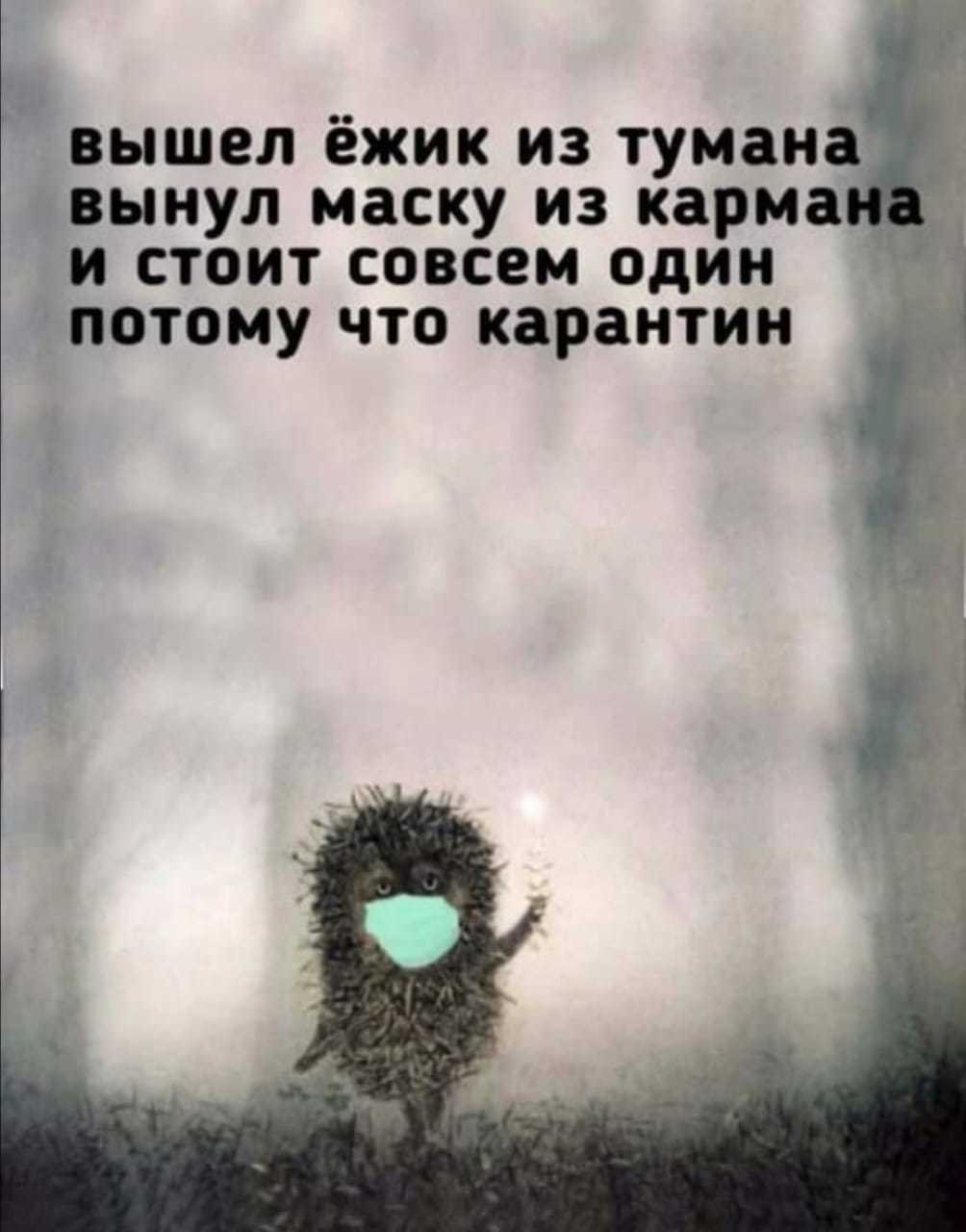 Ежик в тумане цитаты