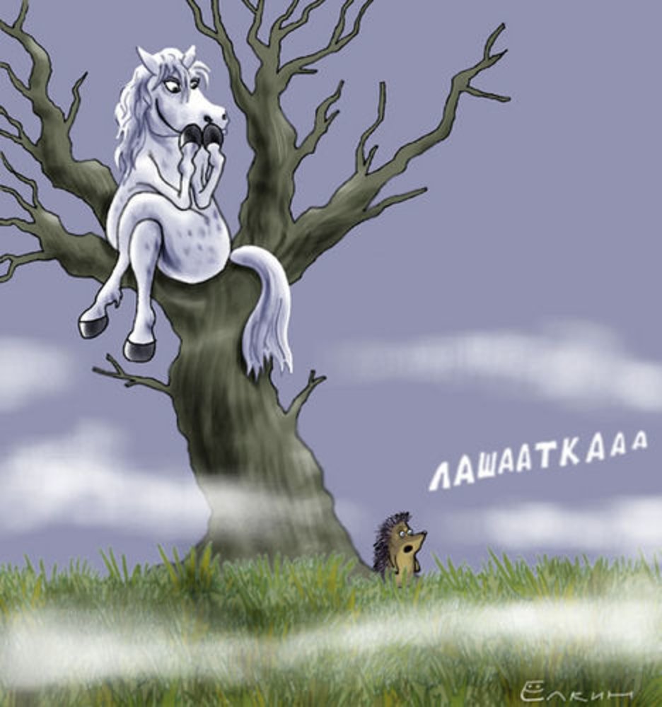 Лошадка и Ежик в тумане приколы