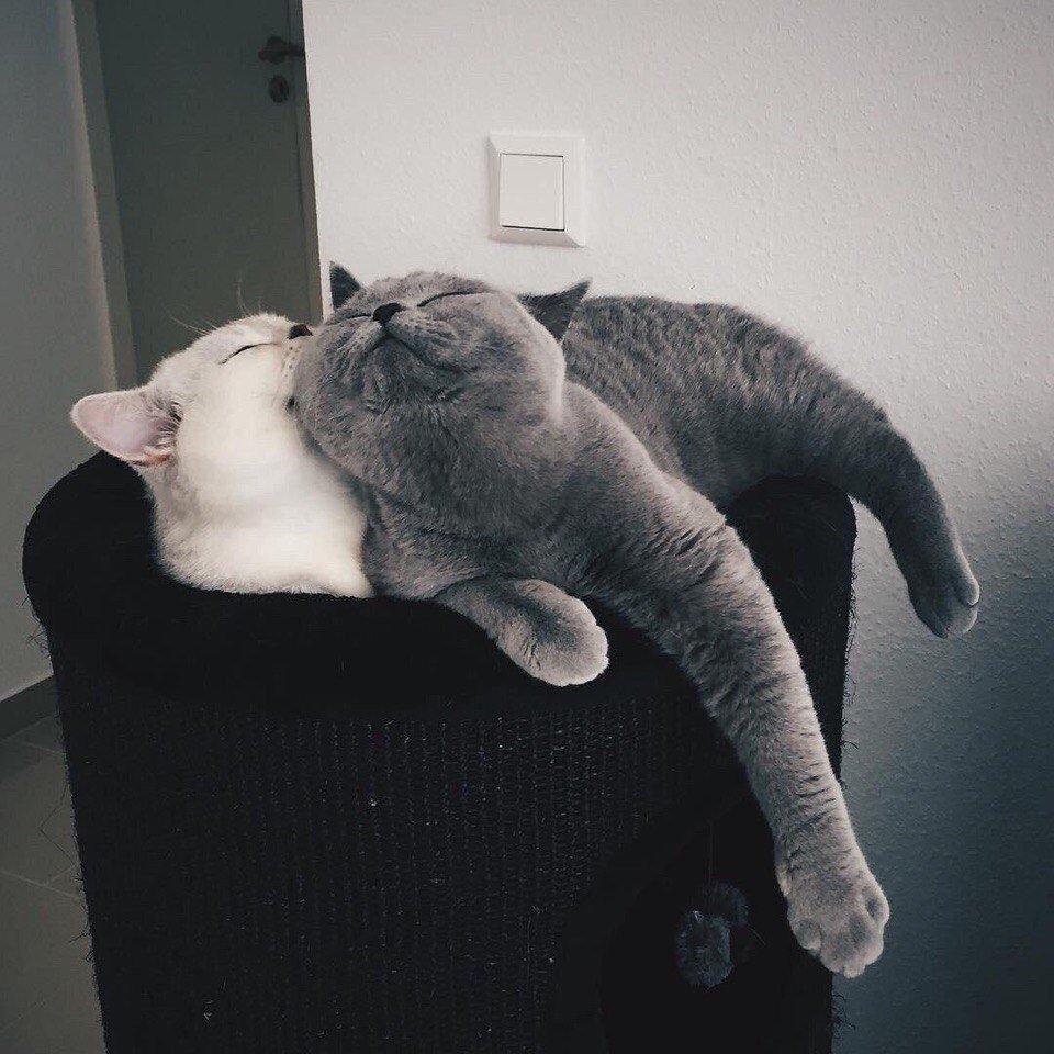 Милые картиночки для отношений