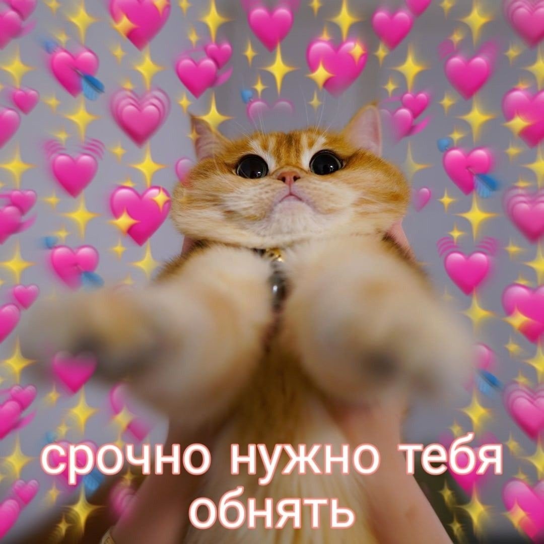 Медведь обнимает зайца