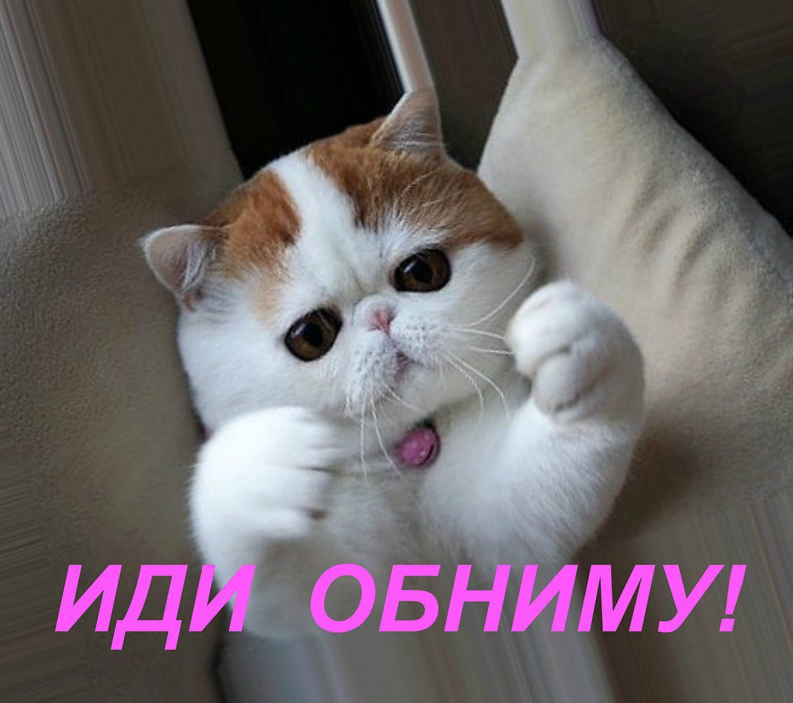 Обнимашки картинки прикольные