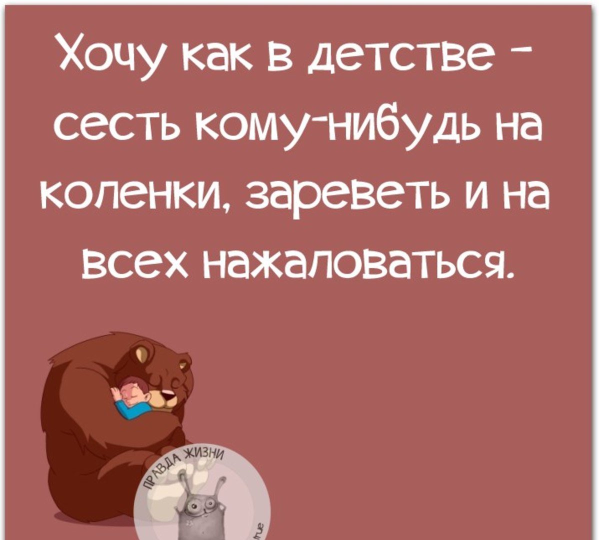 Котики обнимаются пикчи