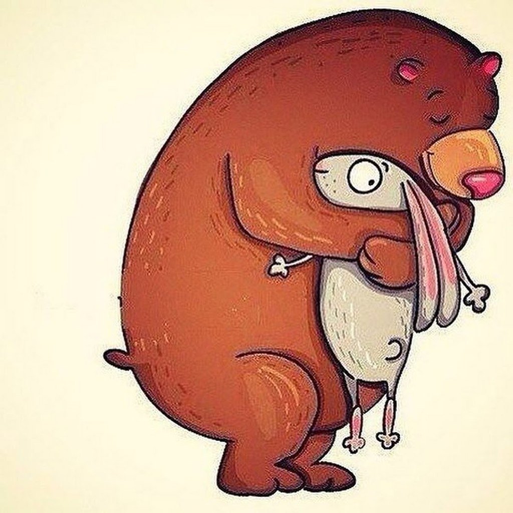 Енот обнимашки