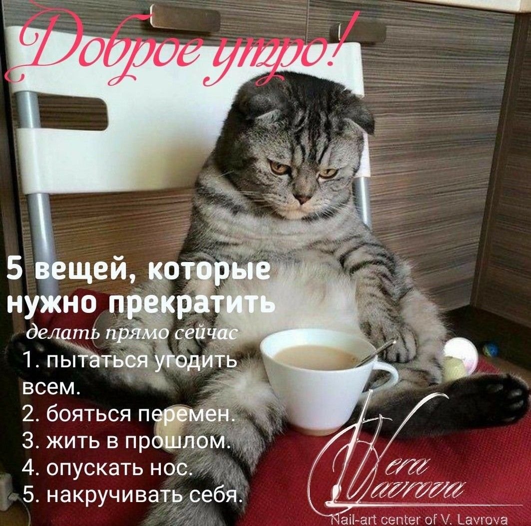 Красивые высказывания с добрым утром