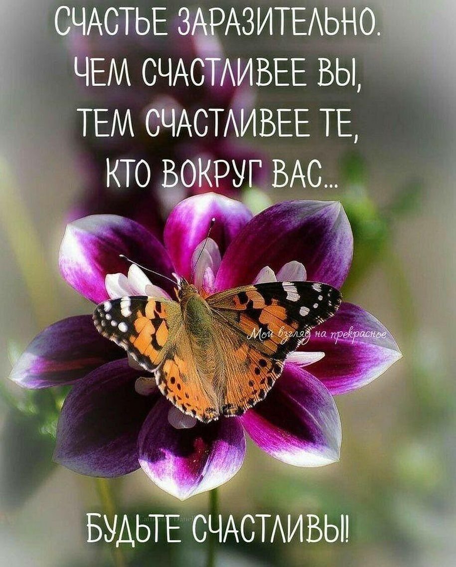 Доброе утро возлюбленные