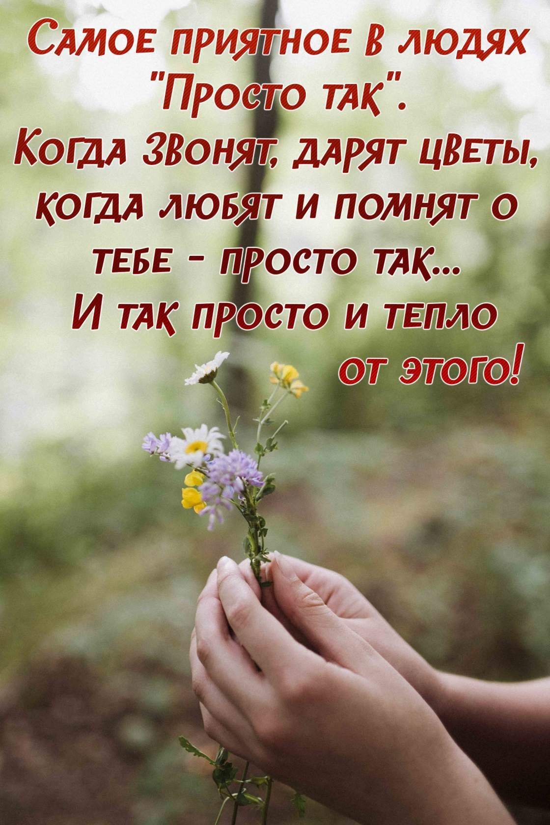 Новый день цитаты