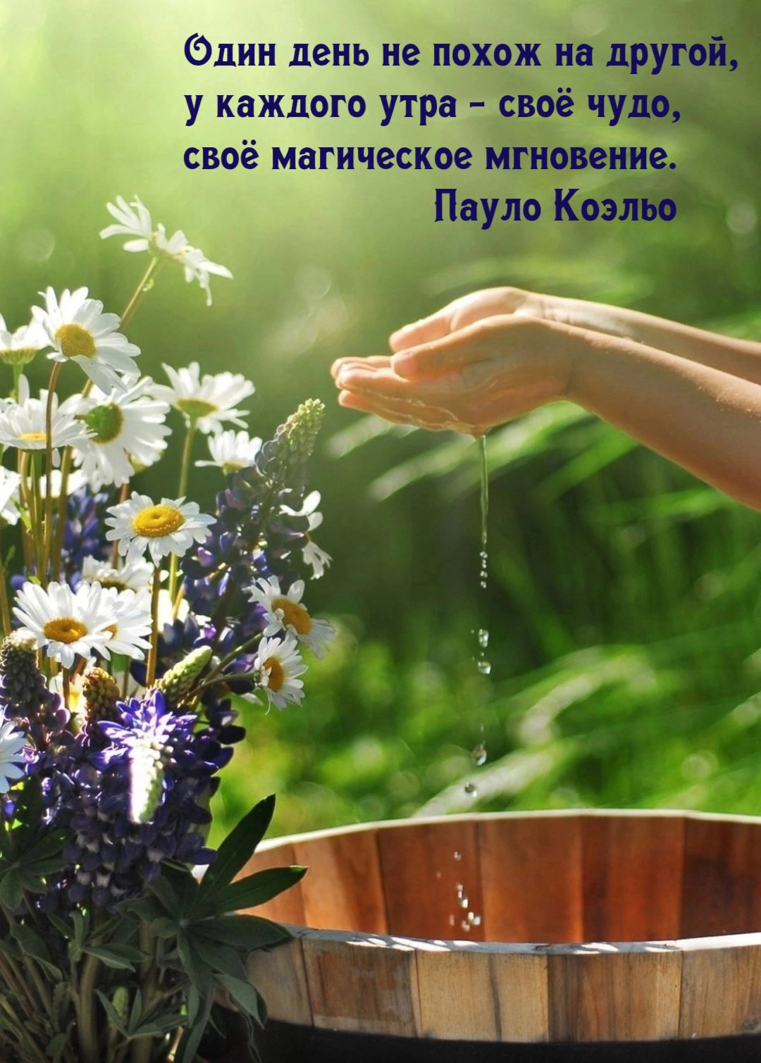 Доброе утро прикол