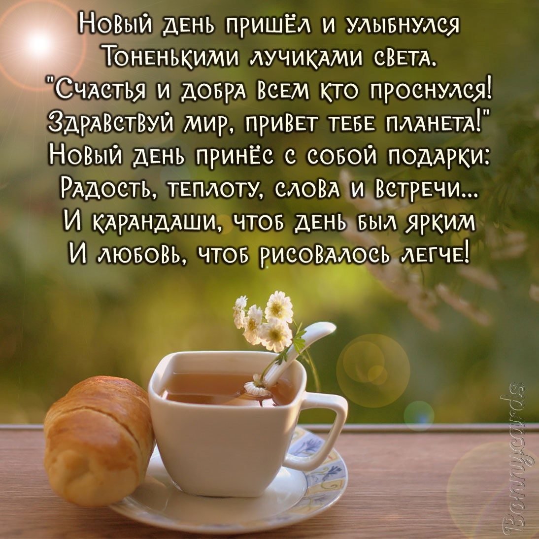 Позитивные высказывания