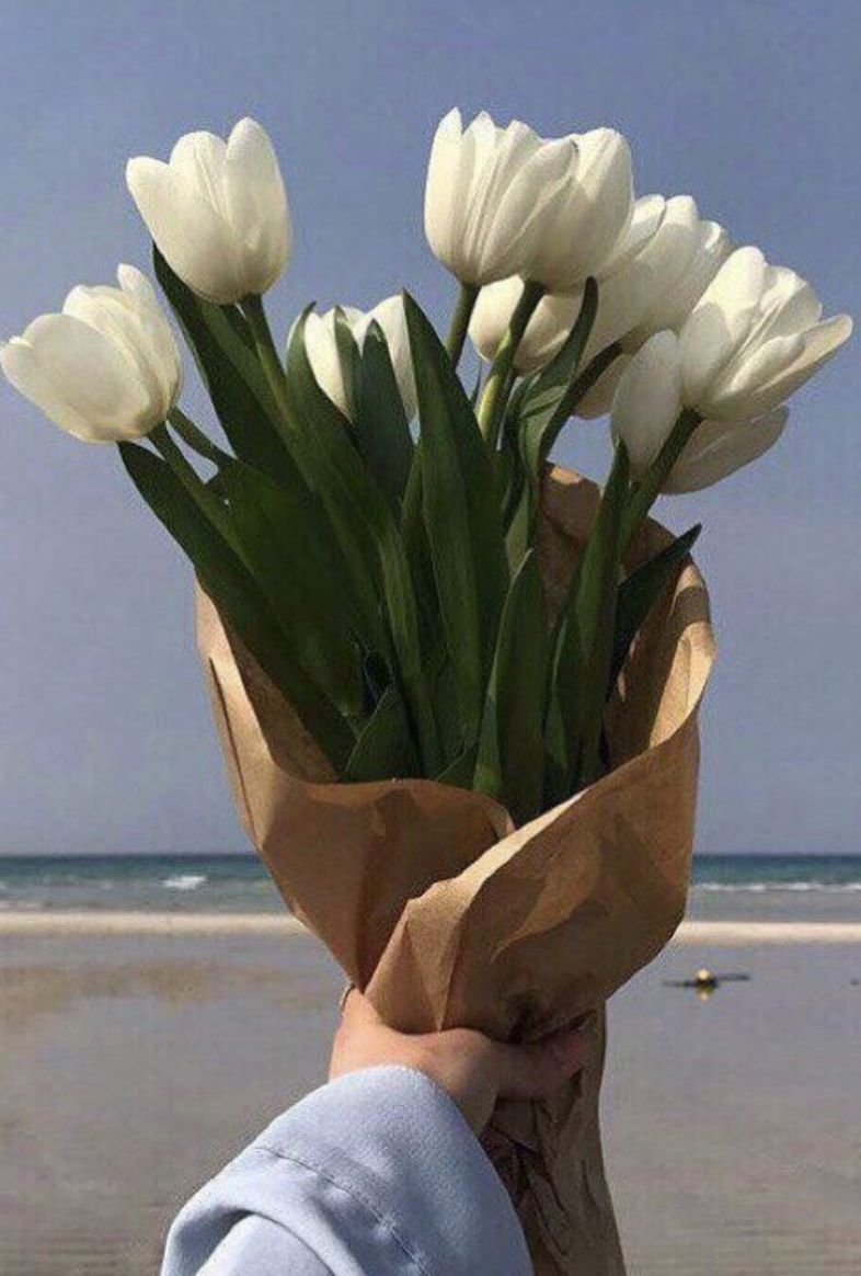 Море тюльпанов