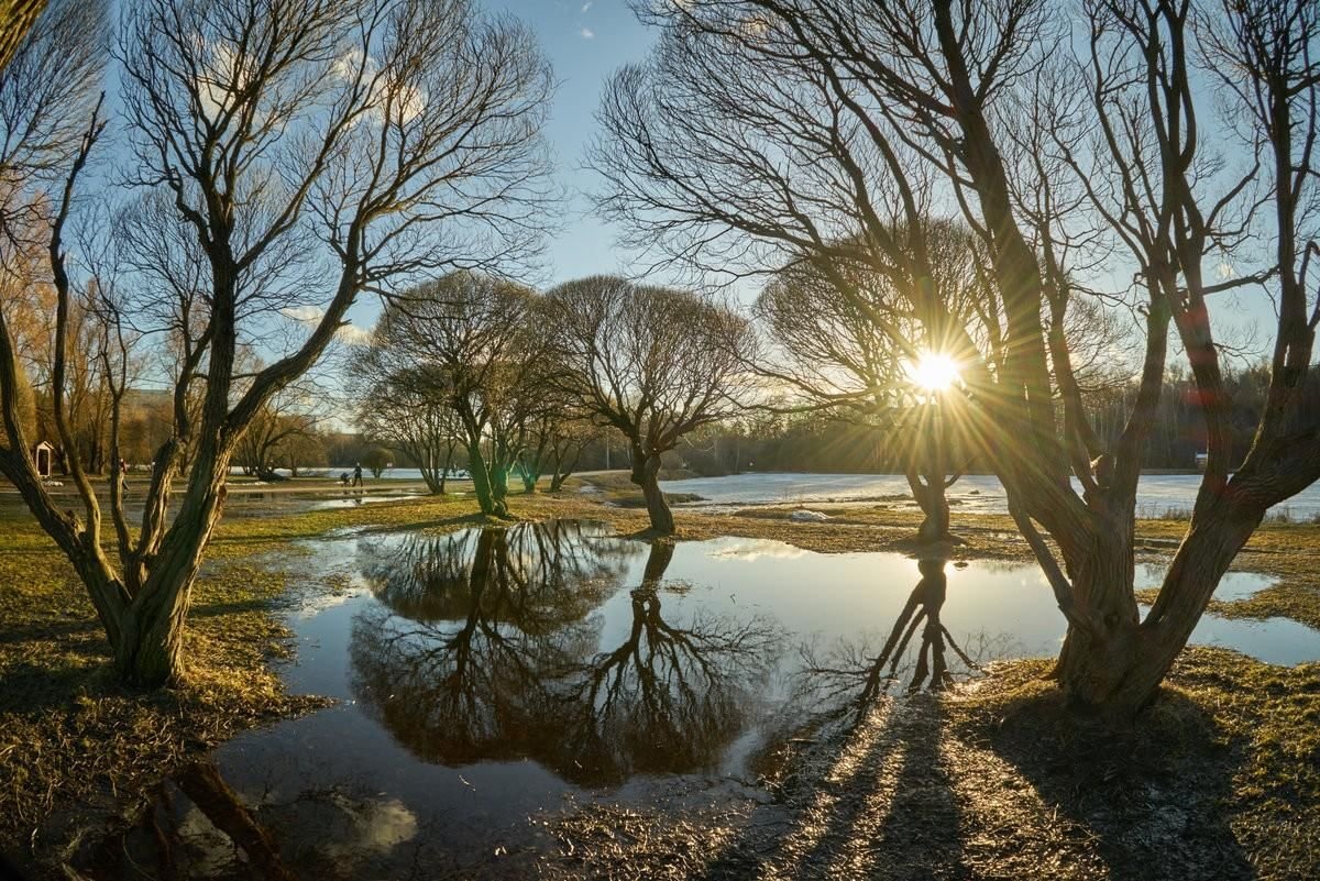 Ранняя Весна солнце