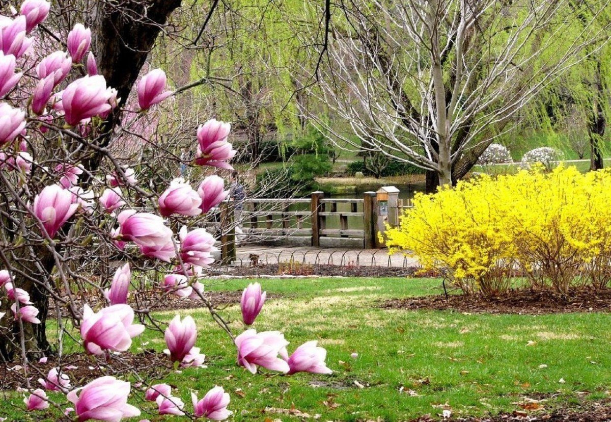 Апрель природа