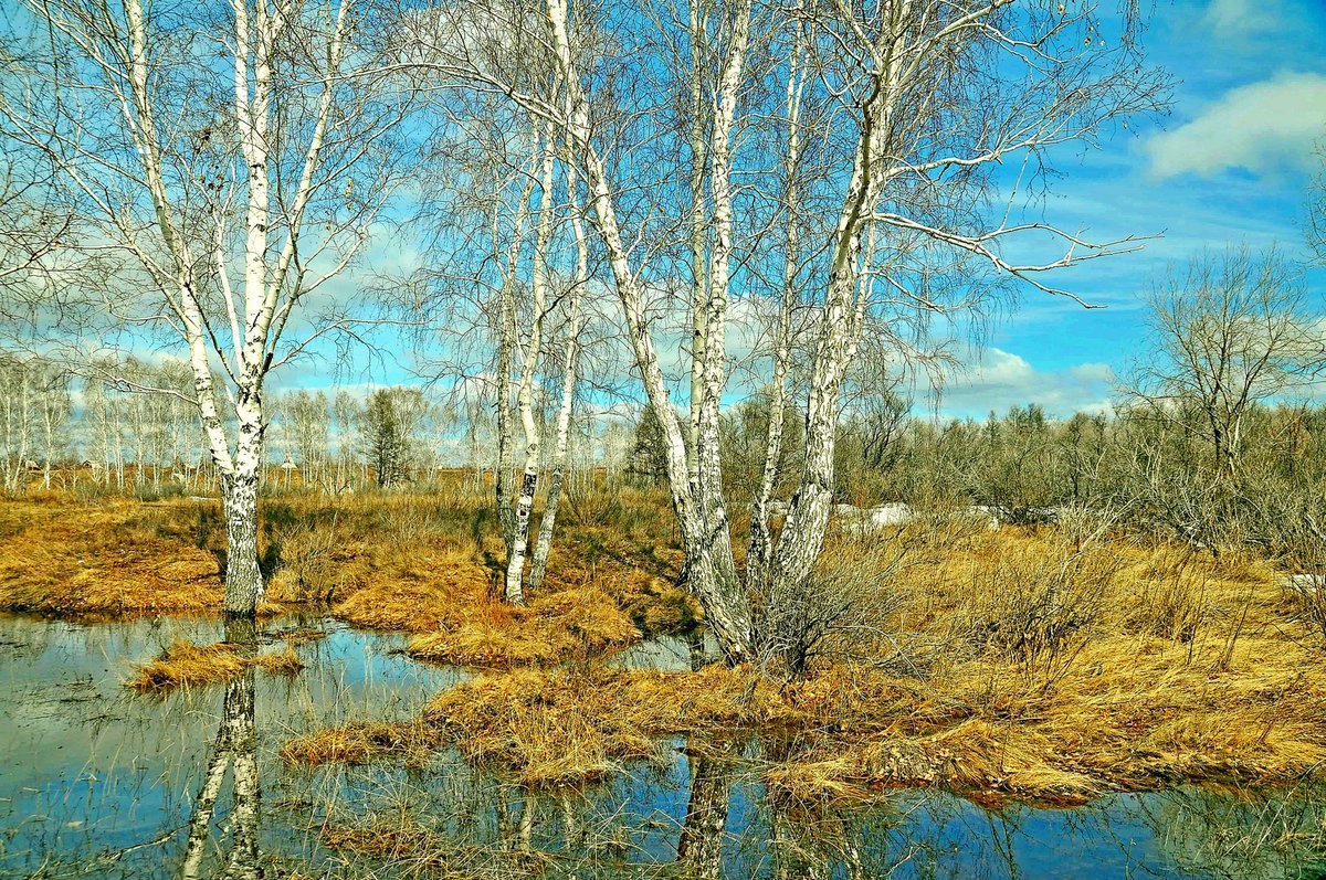 Красивые пейзажи ранней весны