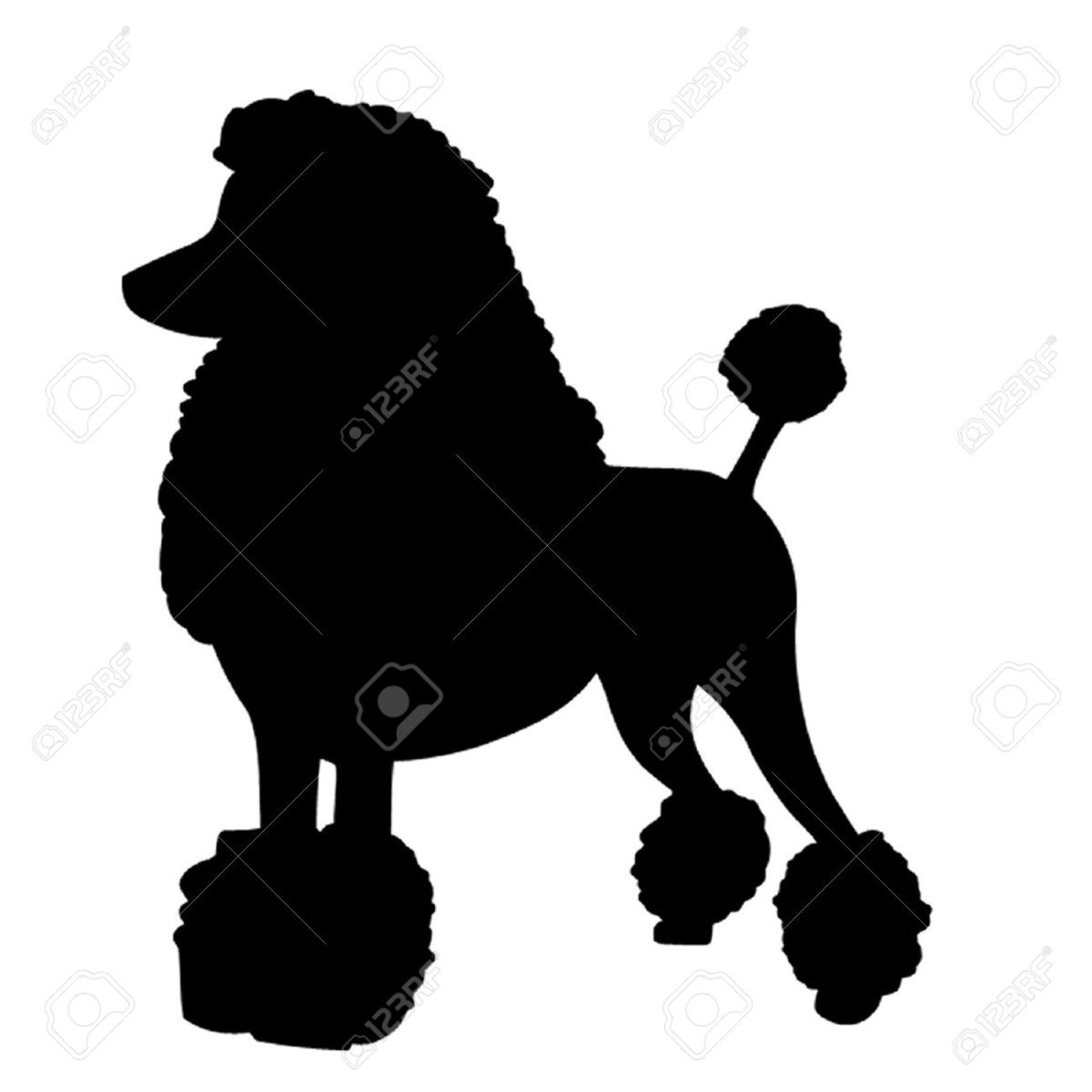 Пудель Артемон