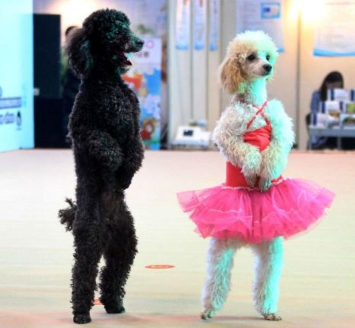 Пудель из проволоки синель.мастер класс