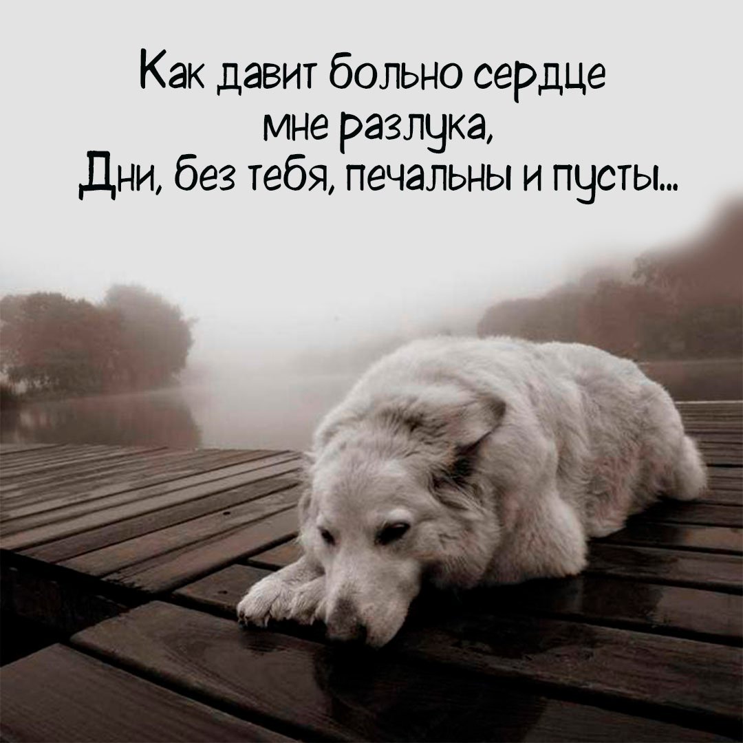 Очень грустно на душе