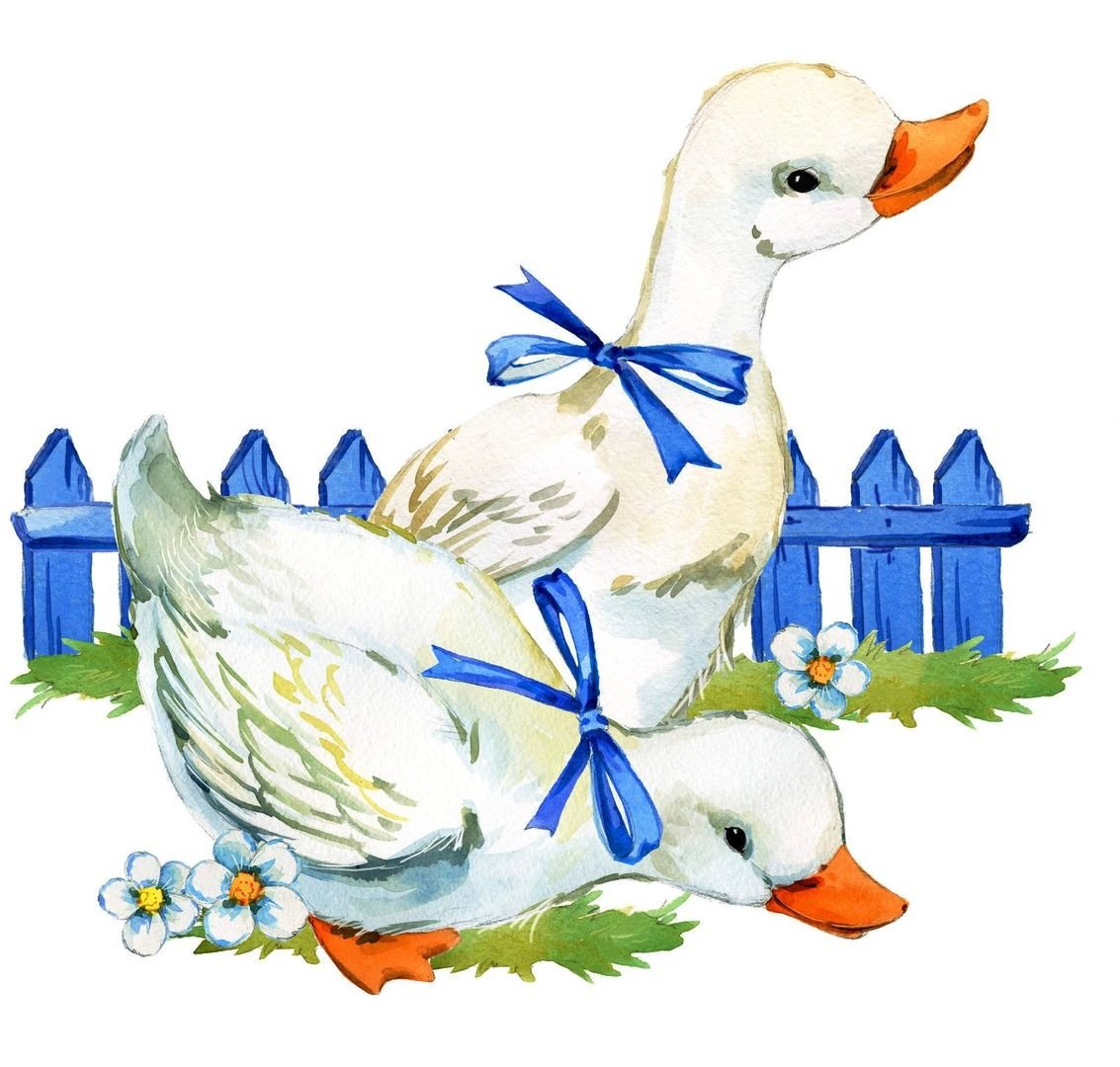 Гусь и утка мультяшные