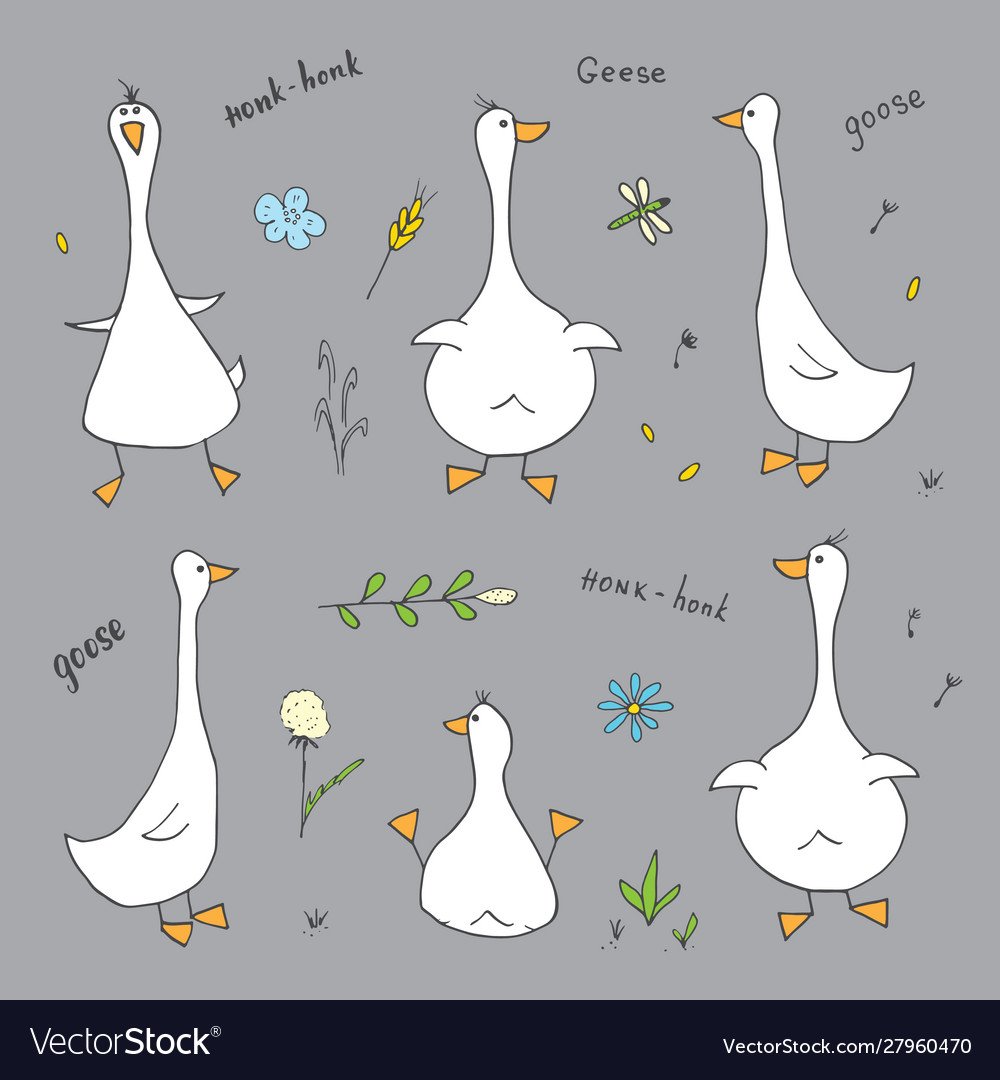 Два веселых гуся картинки