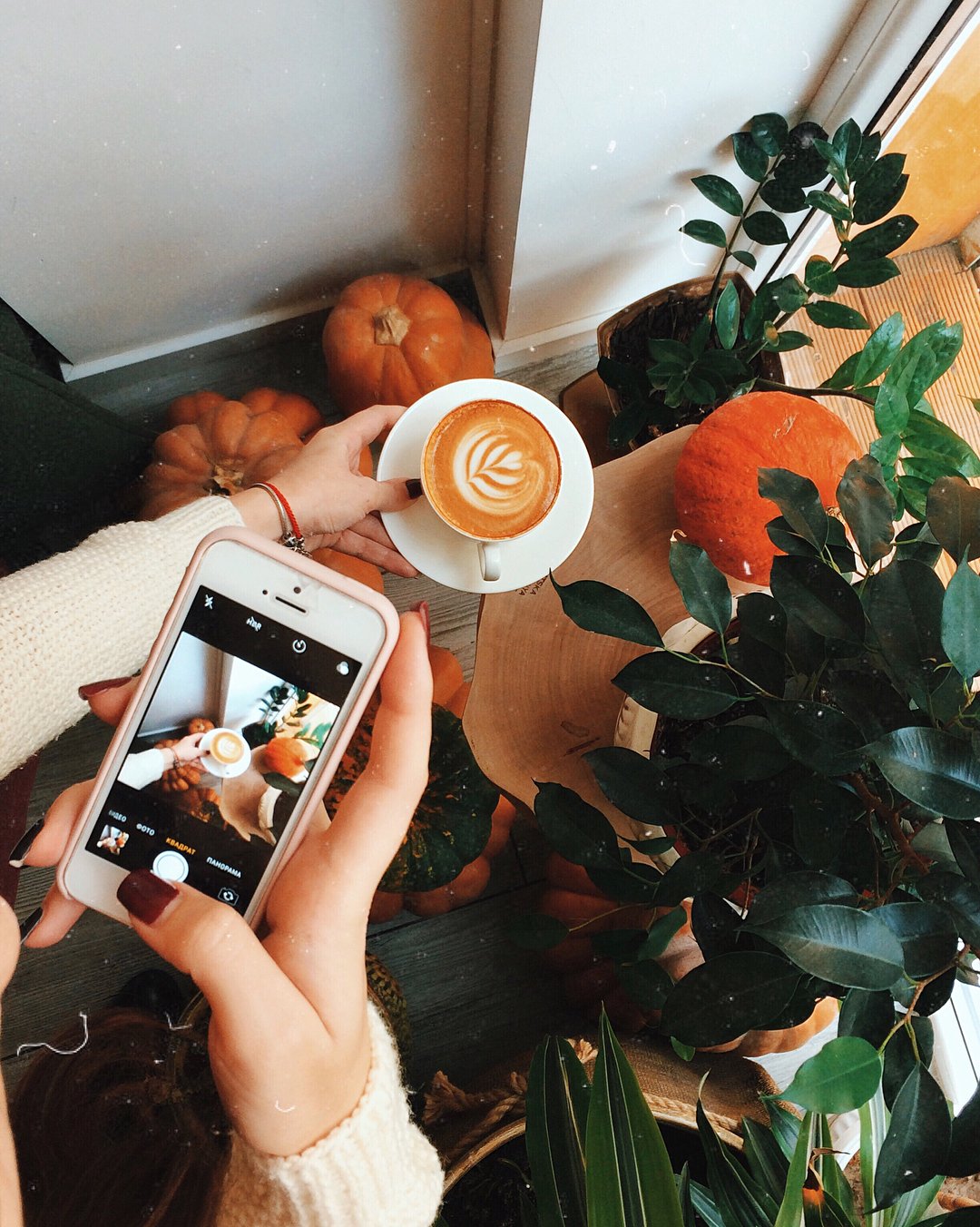 Малыш в короне