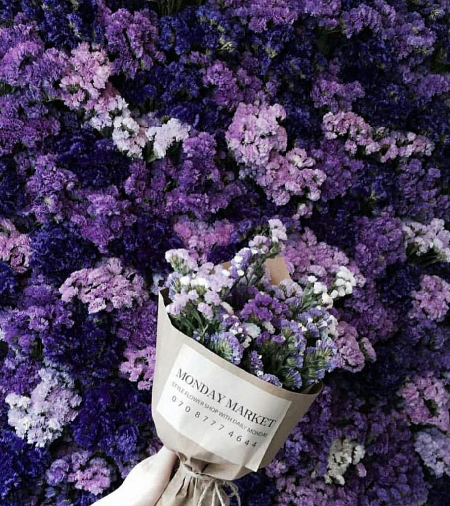 Человек с инстаграмом