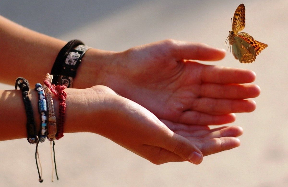 Счастье в руках