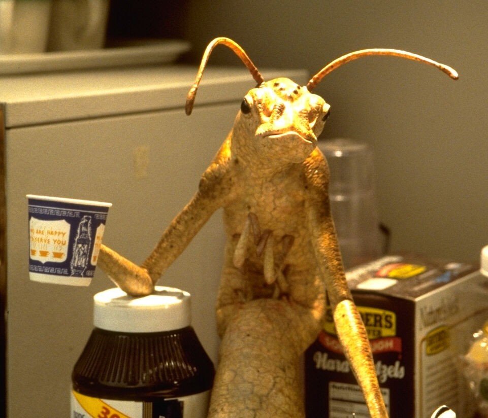 Тараканы из фильма люди в черном