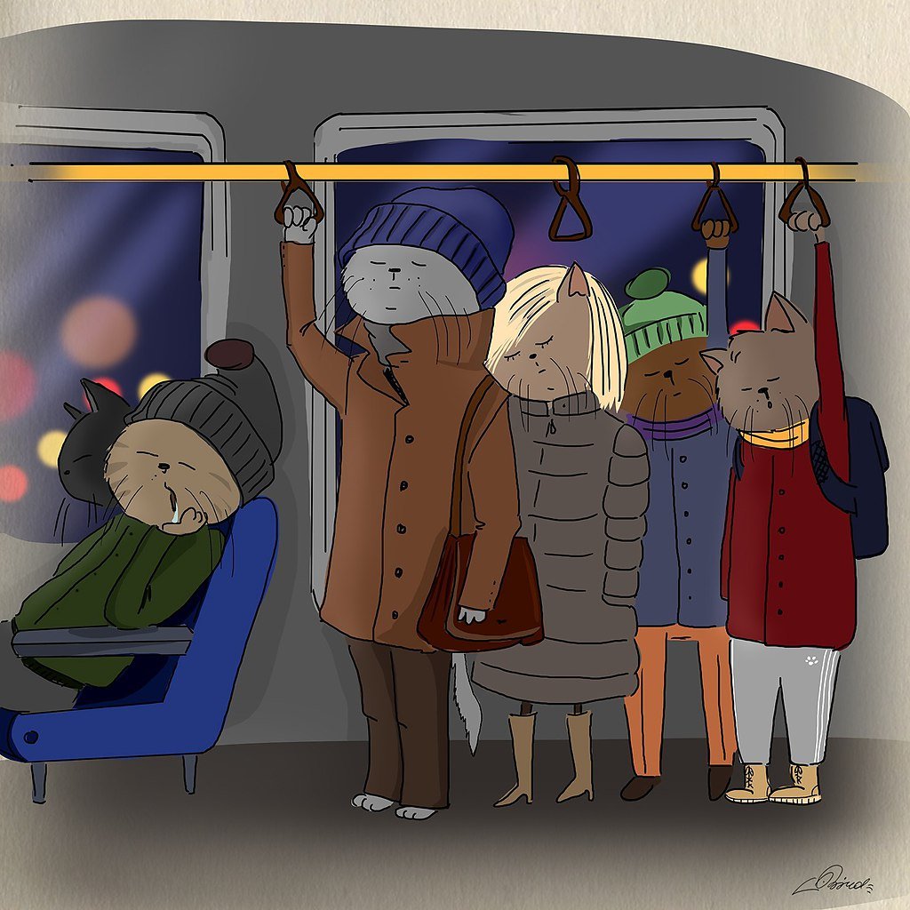 Холодное утро юмор