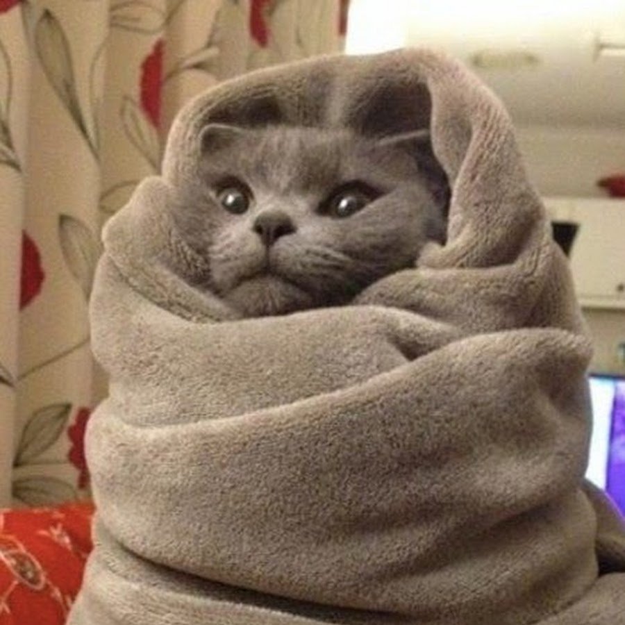 Холодно прикольные