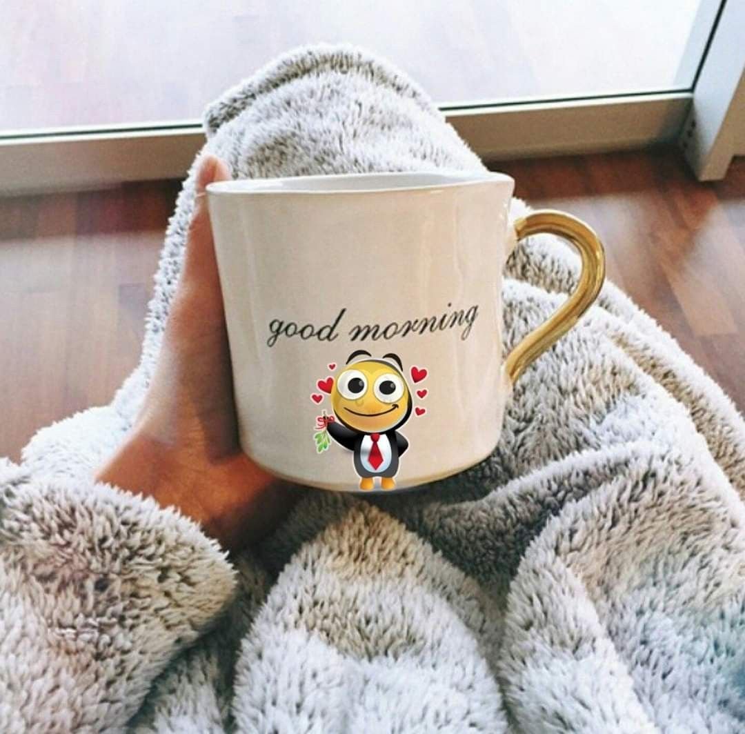 Доброе Холодное утро