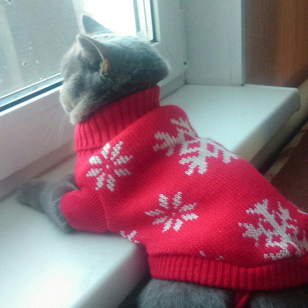 Доброе утро одевайтесь теплее