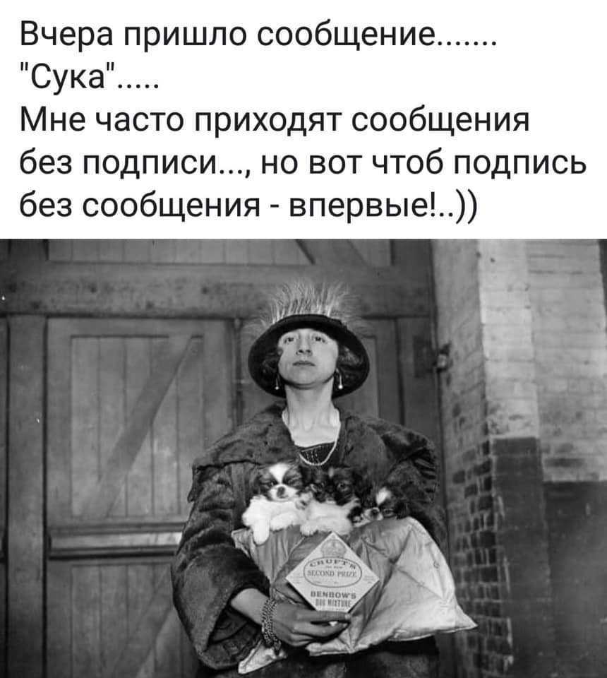 Юмор про девичью память