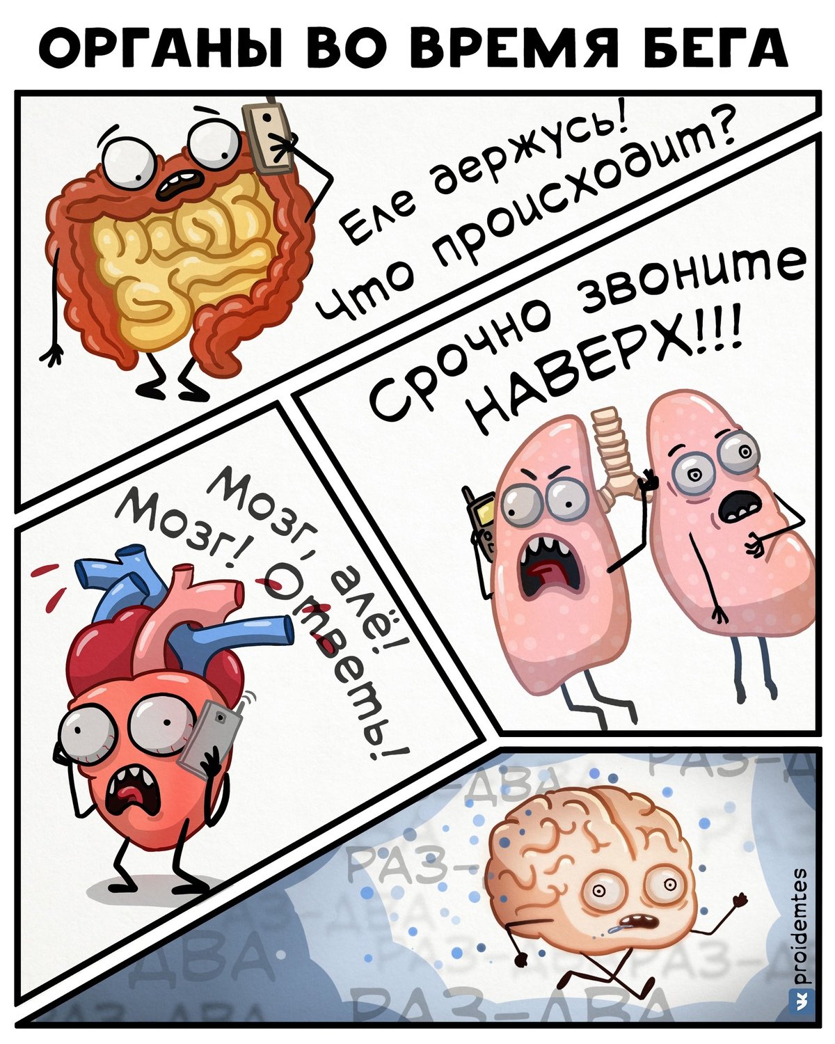 Смешные органы