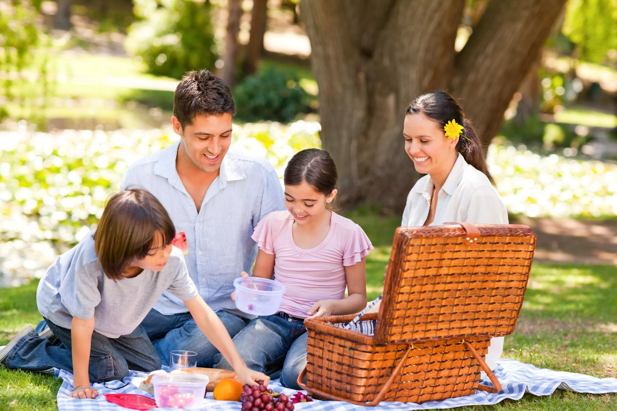 Проект семейного отдыха. Семья на пикнике. Пикник на природе. Пикник с семьей на природе. ОТДЫНА природе.