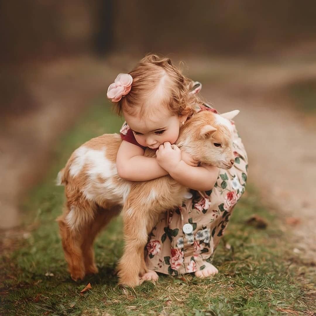 Маленькие дети и животные