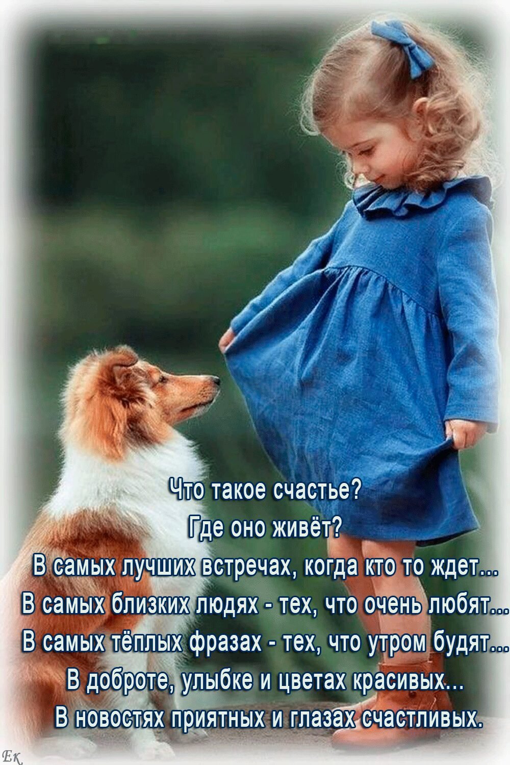 Красивые собаки для детей