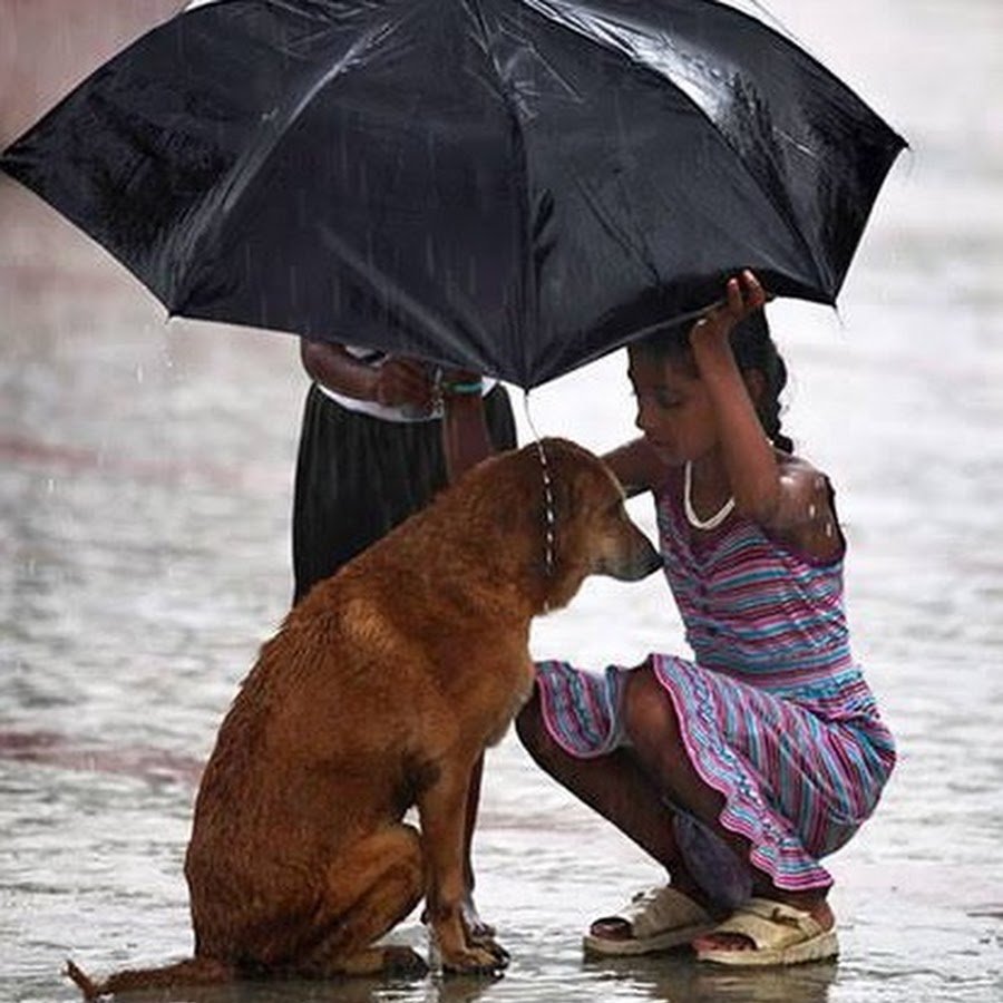 Добрые поступки людей