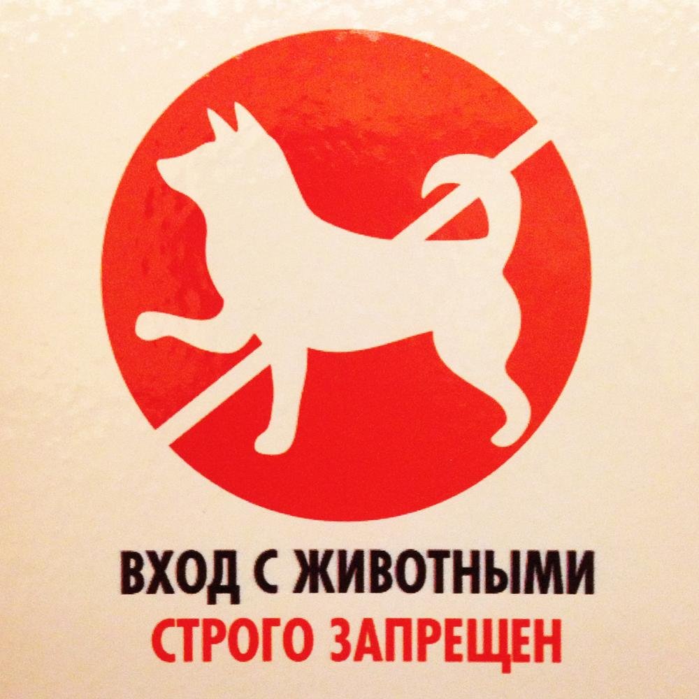 Вход с собаками запрещен
