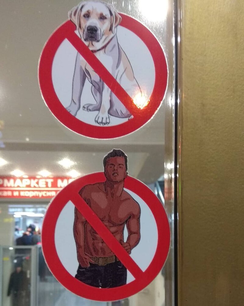 Собакам вход запрещен прикольные