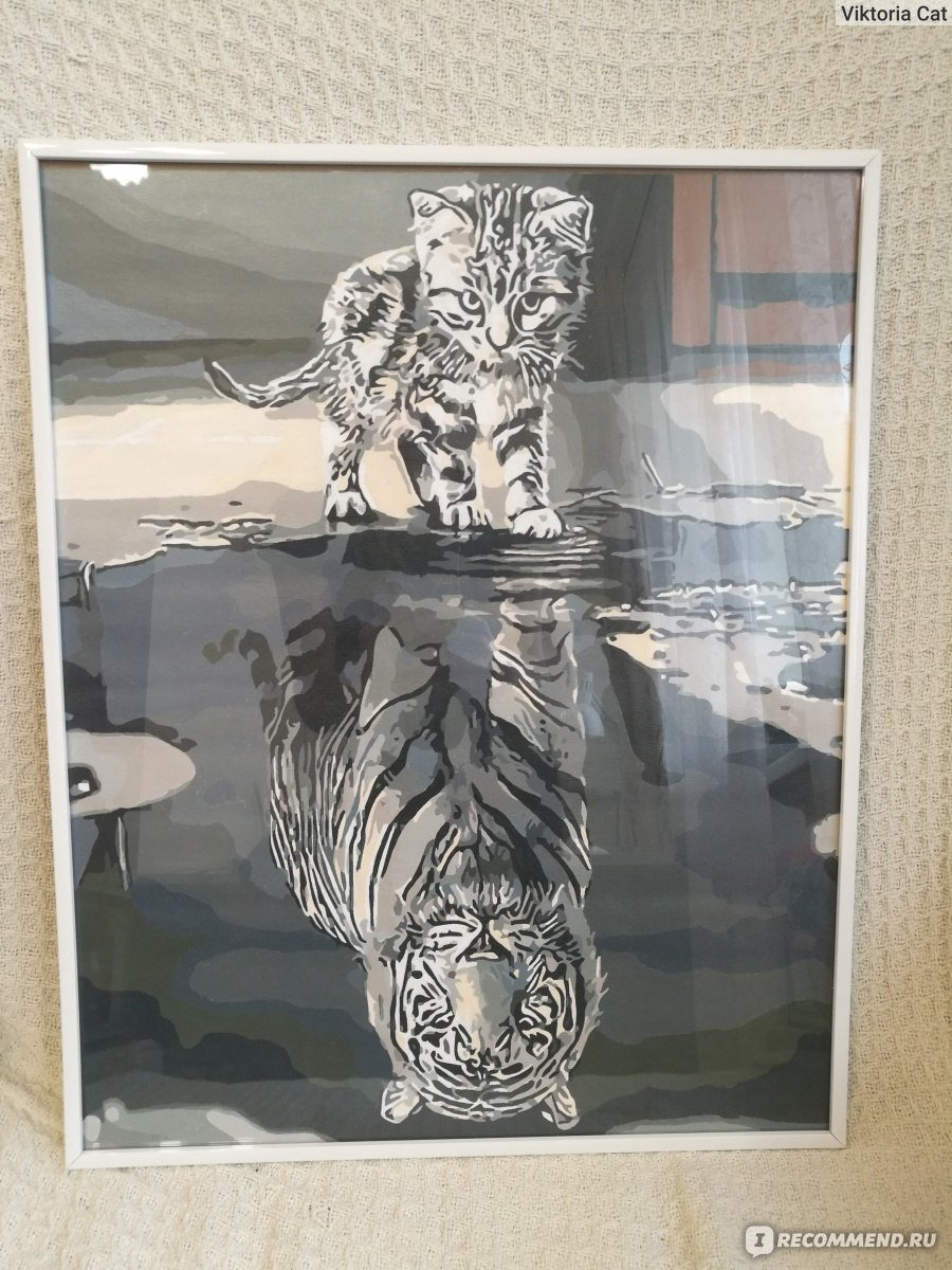 Кошка отражение